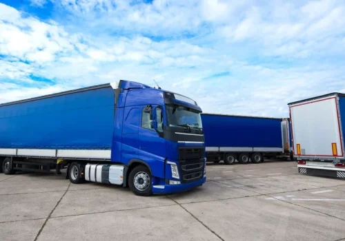 Customs evasion issues