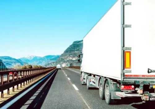 June-Elder-Blog-Image.webp June-Elder-Blog-Image.webp