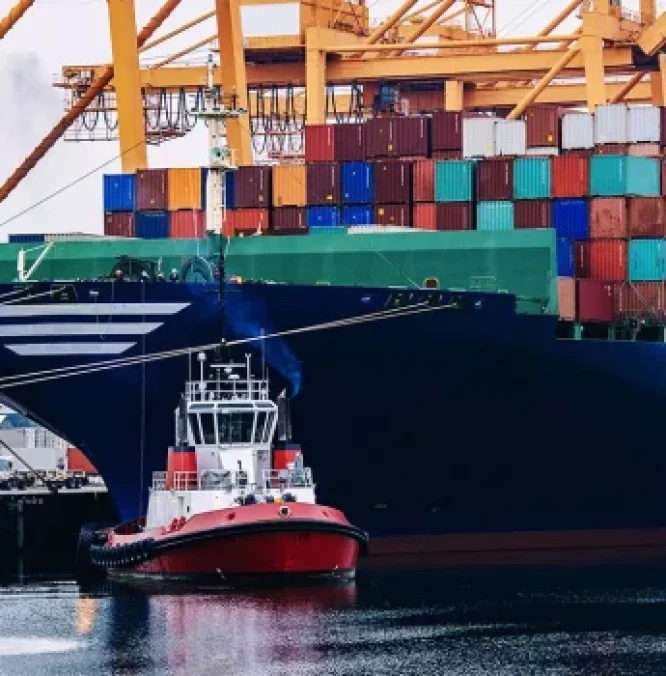 experto-univercitario-transporte-maritimo-puertos.webp experto-univercitario-transporte-maritimo-puertos.webp